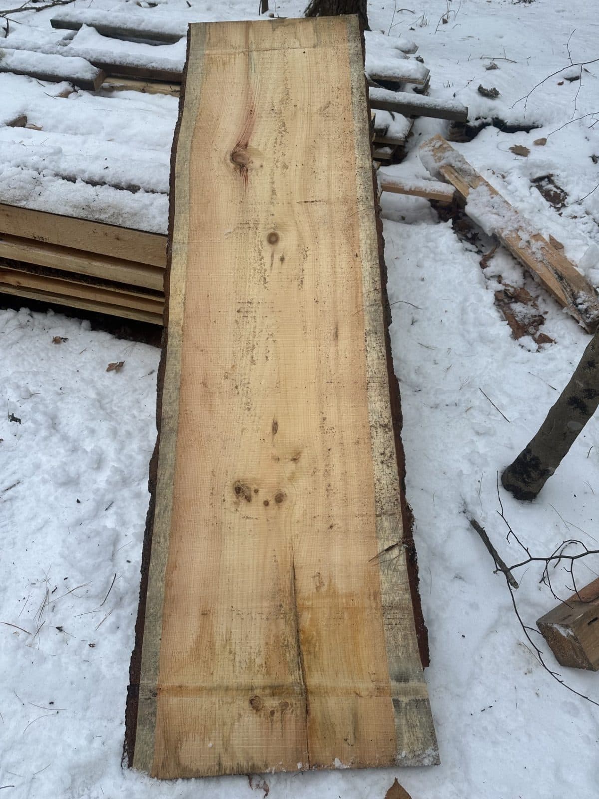 LIVE EDGE PINE BOARD 2" THICK - $60 2