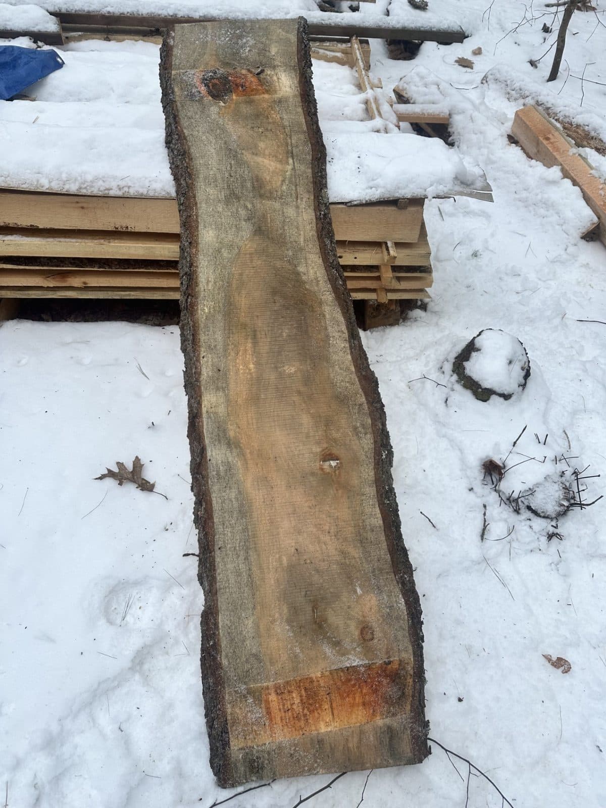 LIVE EDGE PINE BOARD 1 1/2" THICK - $25