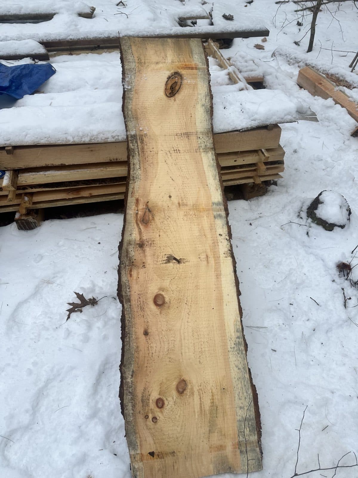 LIVE EDGE PINE BOARD 1 1/2" THICK - $25 2
