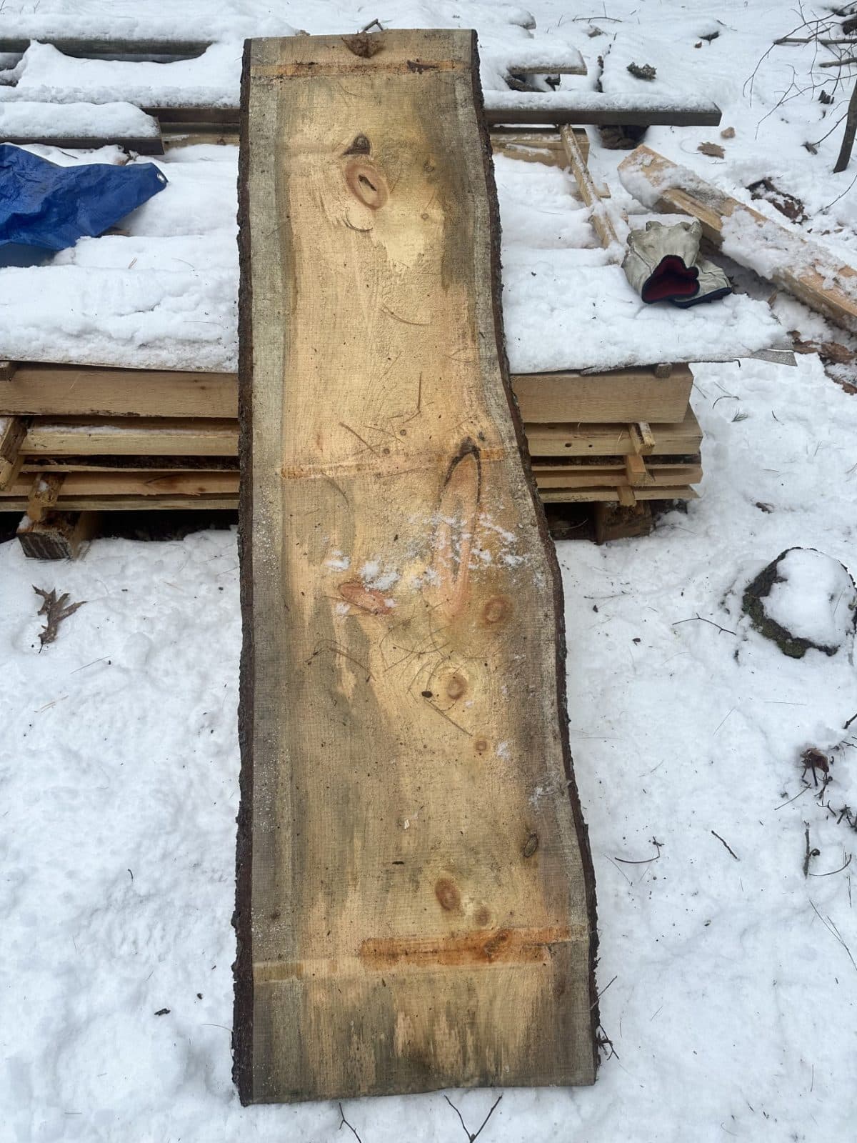 LIVE EDGE PINE BOARD 1 1/2" THICK