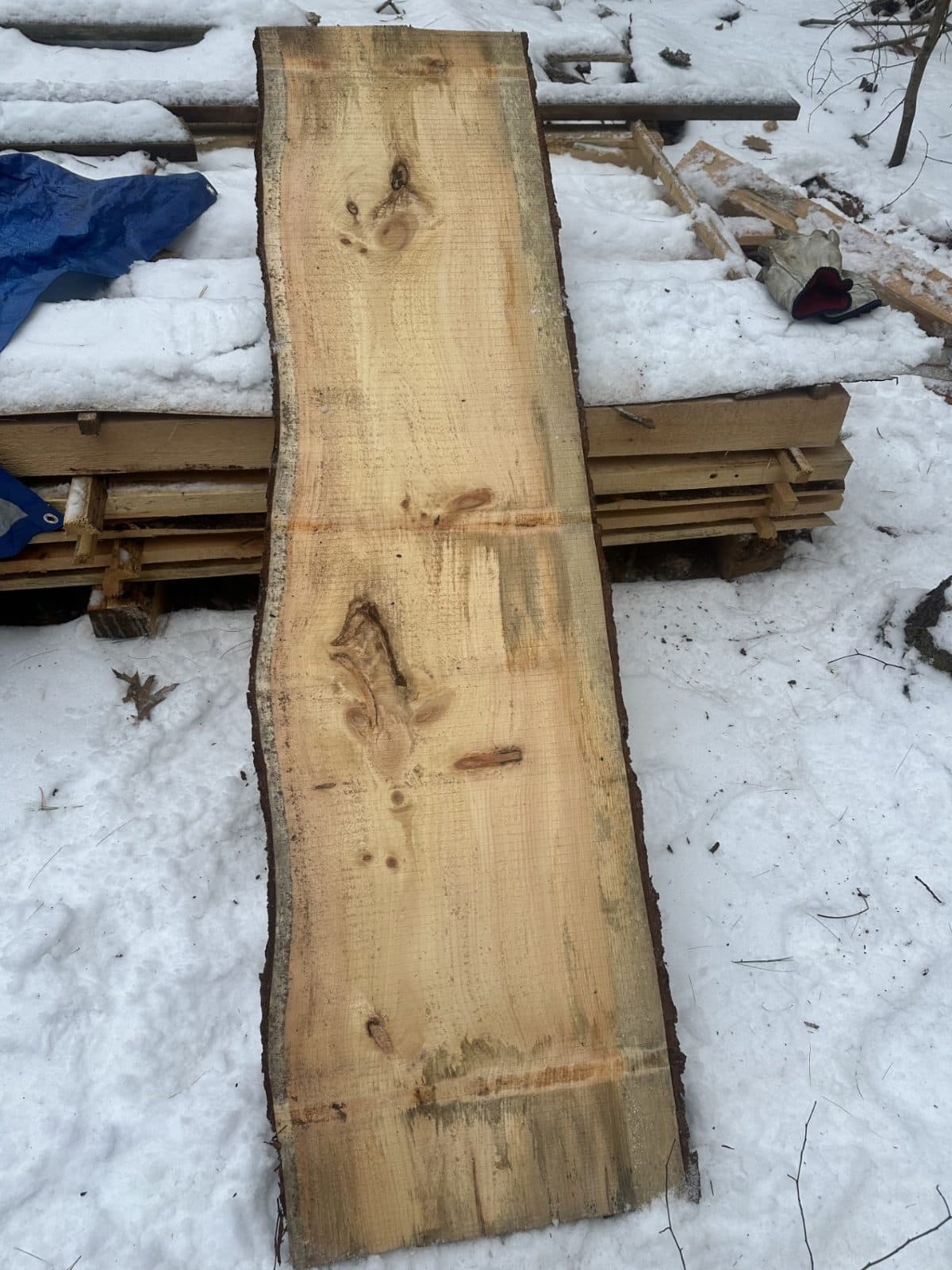 LIVE EDGE PINE BOARD 1 1/2" THICK 2
