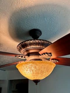 Vintage Ceiling Fan