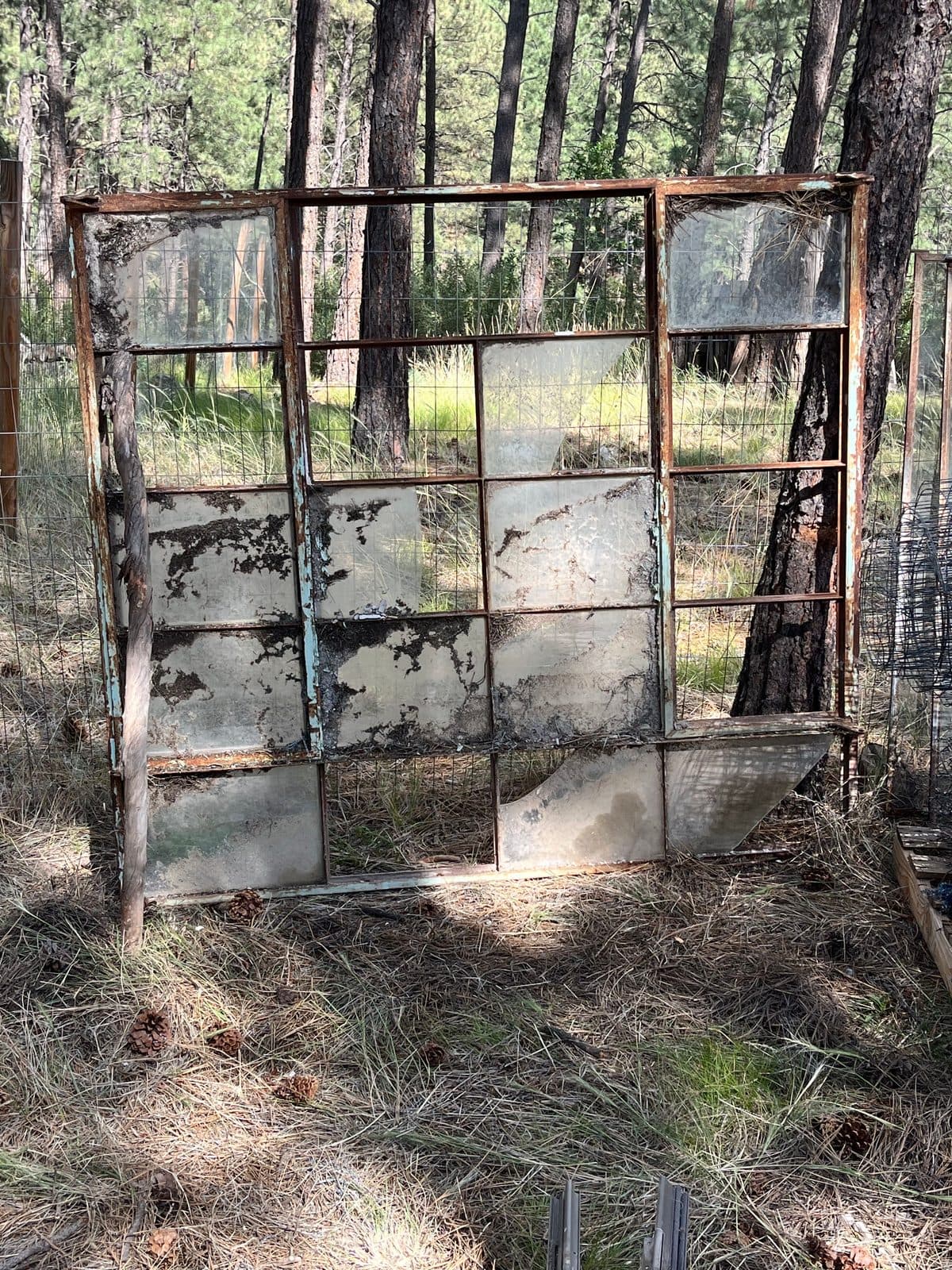 Window