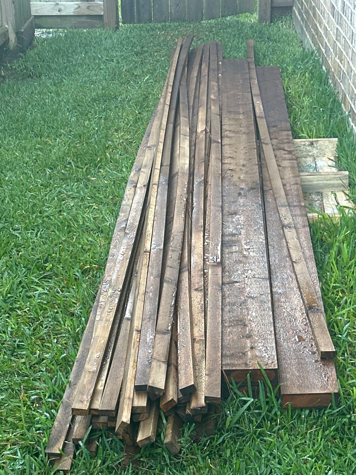 Cedar