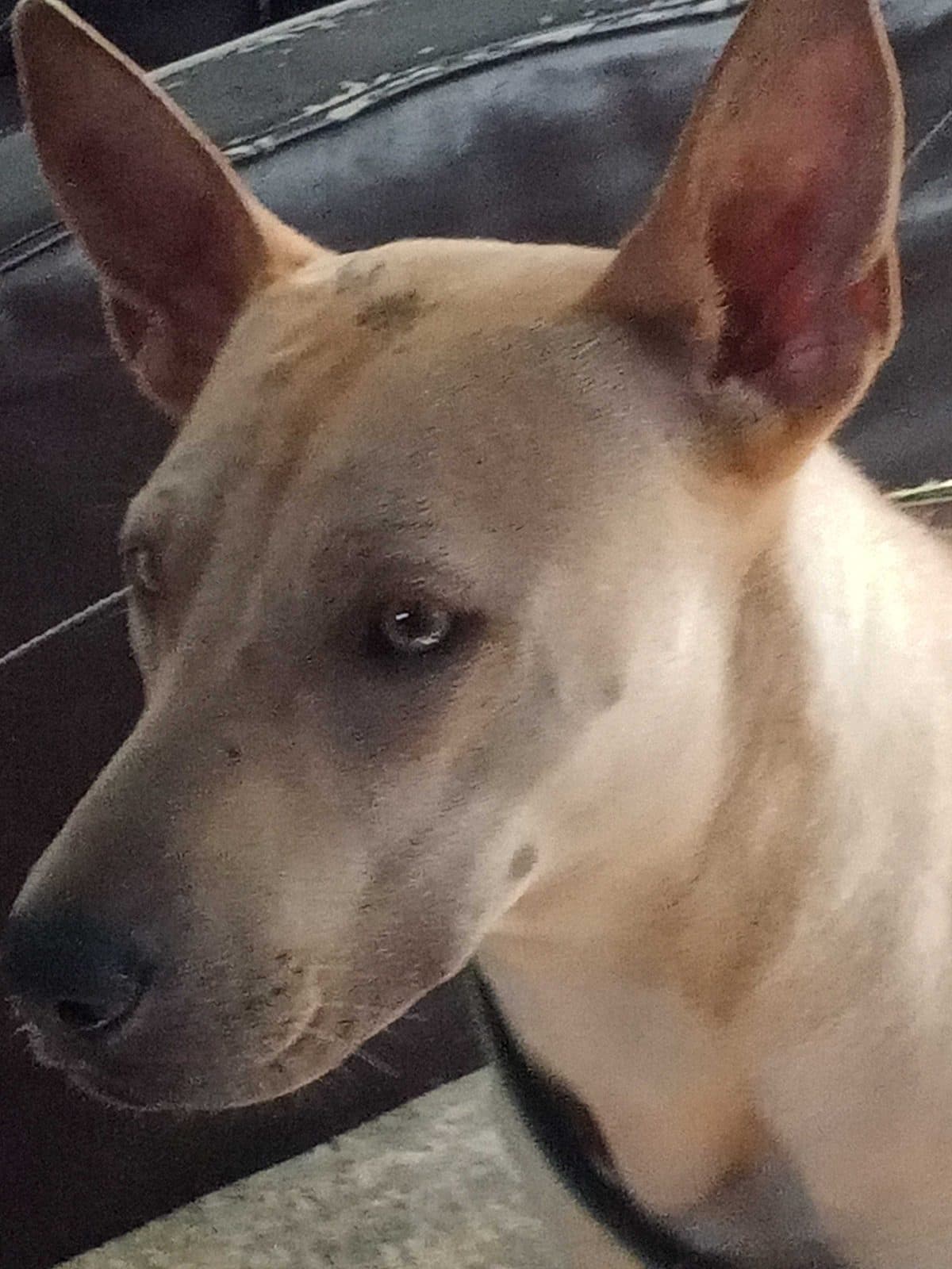 Looking for work / cleanup / scrap metal