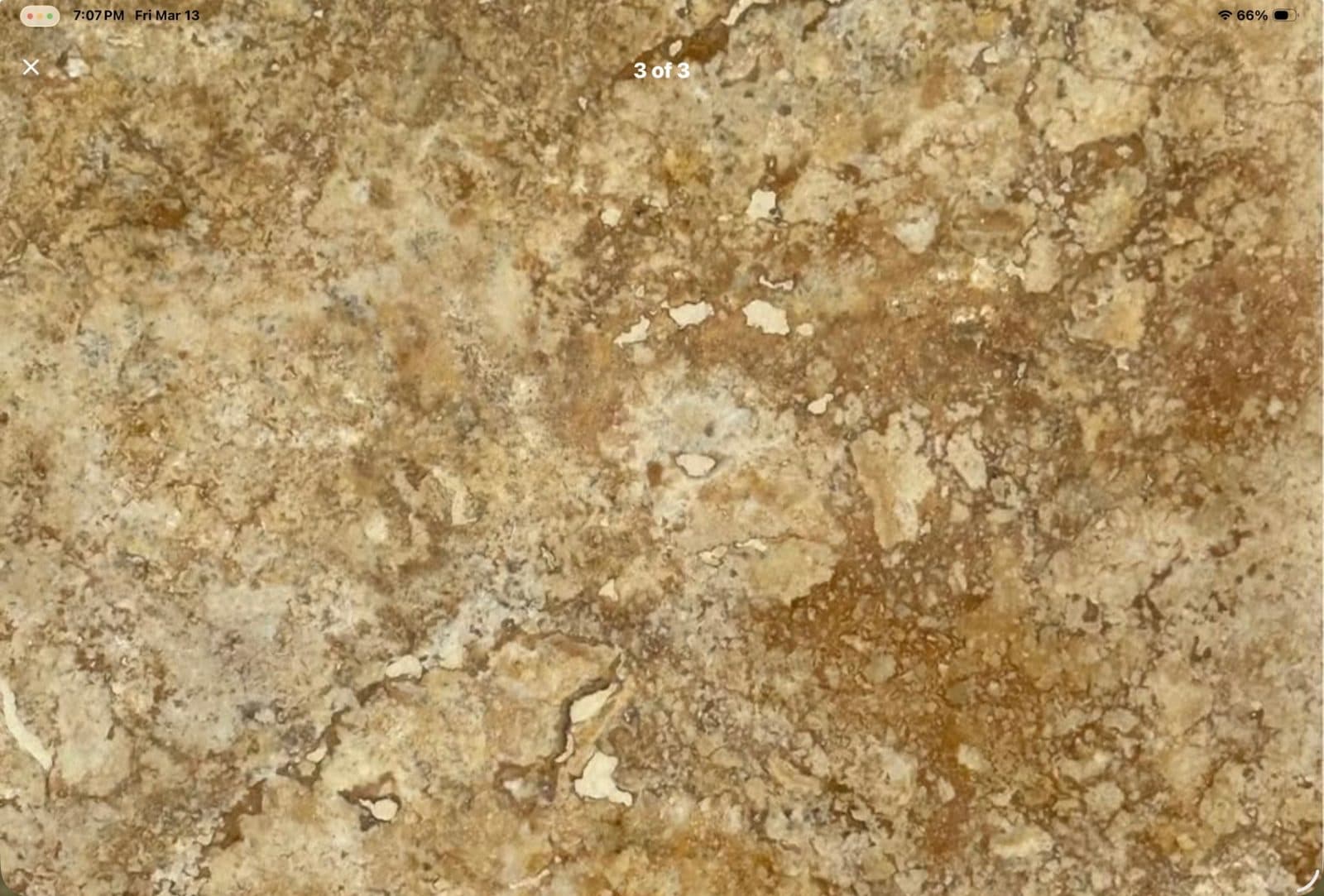 GOLD TRAVERTINE